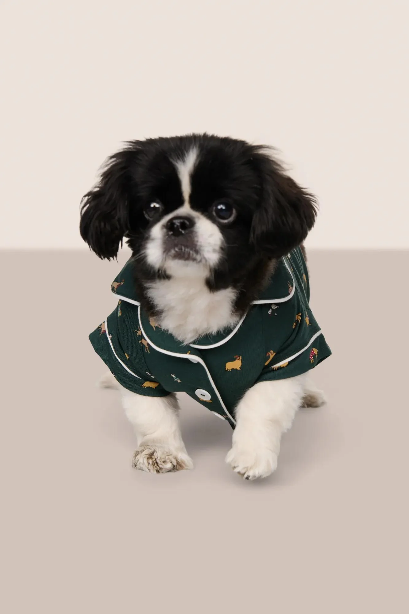 Gisele Printed TENCEL™ Modal Pet PJ - Image 3